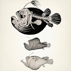 Mo&Mar - 13.02.16 Südpol