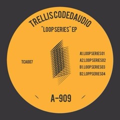A-909 - LoopSeries Ep [Preview Trellis Coded Audio07]