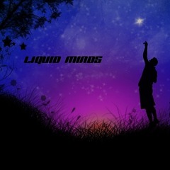 Liquid Minds - Catching the Stars  [Free DL]