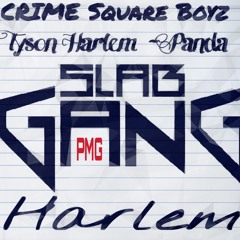 Tyson Harlem X Panda Freestyle