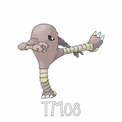 TM08