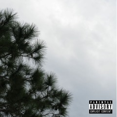 In The Wind (Prod. By Big Lo$)