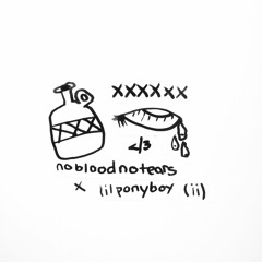 nobloodnotears & lil ponyboy - vermillion