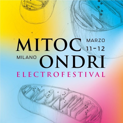 Waiting For Mitocondri Festival