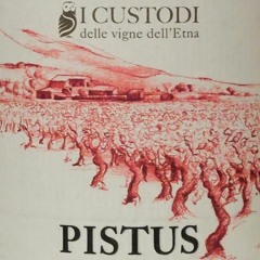 Naday Ali - Pistus [Slow RnB ish beat]