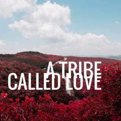 A Tribe Called Love - Snippet
