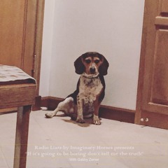 Radio Liars - 07 If It's Going To Be Boring Don´t Tell Me the Truth