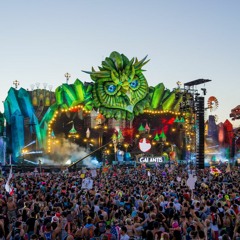 Bass & Trap