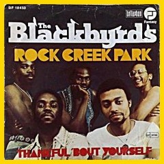 The Blackbyrds - Rock Creek Park (Lego Classic Edit)