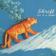 Shrift - Lost In A Moment