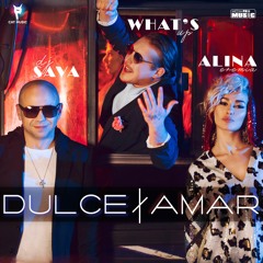 DJ Sava Feat Alina Eremia - Dulce Amar feat What's Up