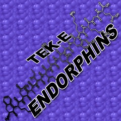 TeK - E - Endorphins (LowQuality Sample)