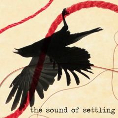 the sound of settling (Death Cab For Cutie cover)