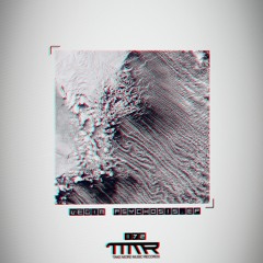 Vegim - External Reality