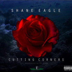 Shane Eagle - Cutting Corners (vox Up Master 03) PRINT
