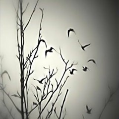 صلوا عليه بلا غاية ~ حسين الجسمي