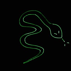 Snakes - TEK TFIN