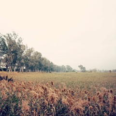 Melancholy (Original Track by Samson)