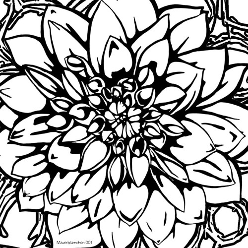 Olaf VonDoris - Tomat