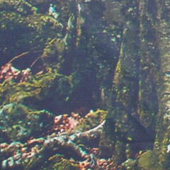 LT022 // S Olbricht - For Perfect Beings