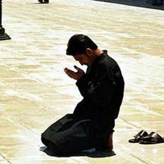 كلمـات لقلبك ــ للشيخ إبراهيم الزيـات