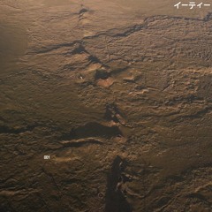 E.T. イーティー001