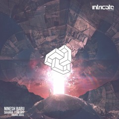 Ninesh Babu - Energy