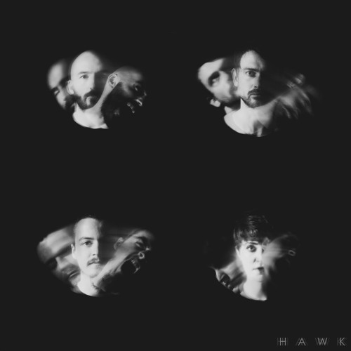 Hawk - The Hunt