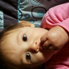 Sounds from Friday morning