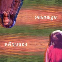 รุ้งสีเทา - monomania (acoustic cover)