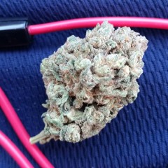 Mac Dre- Chevy & Fords (Ft. Little Bruce)