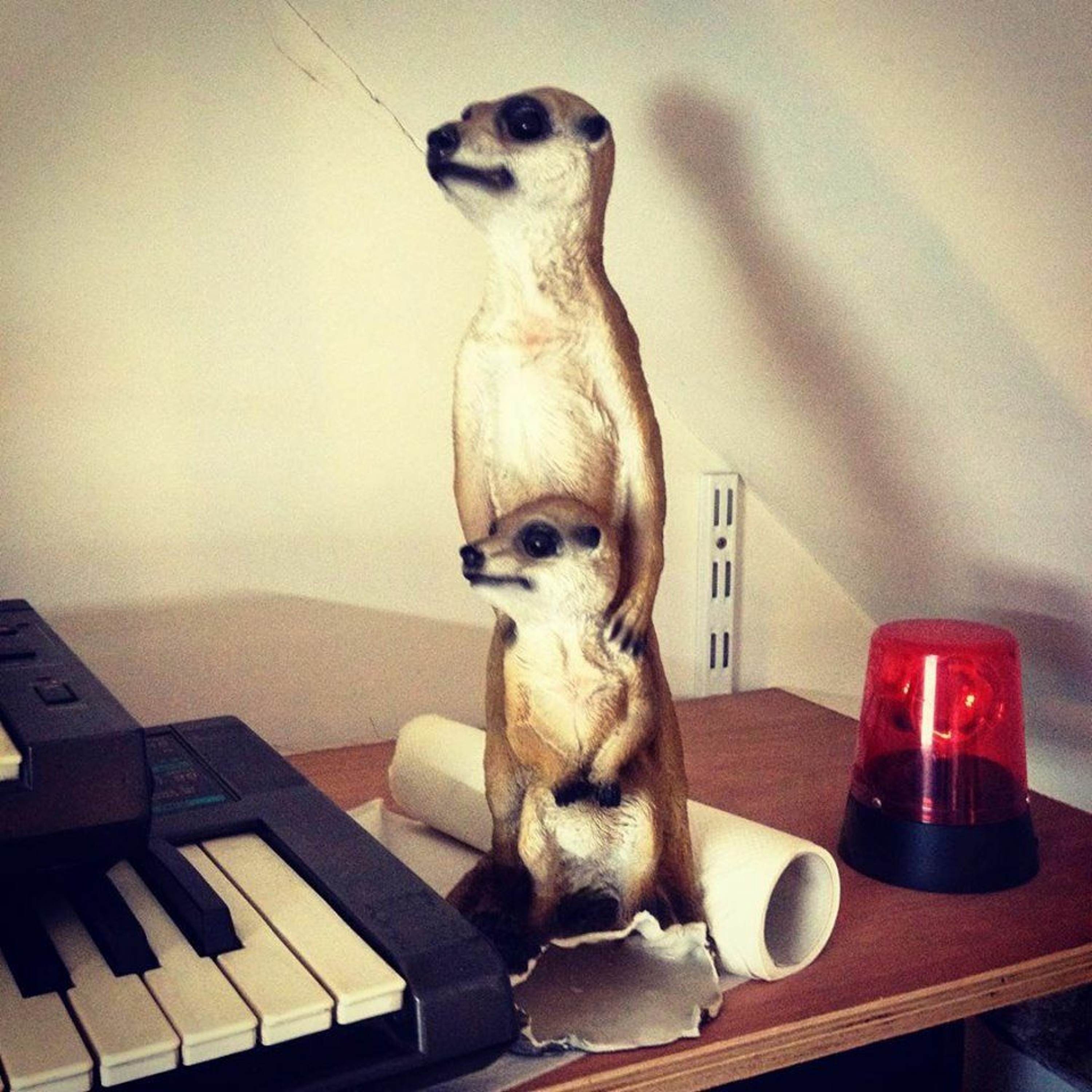 80 Stijn Vanmarsenille (Future Old People Are Wizards, Elefant, Drums Are For Parades...)