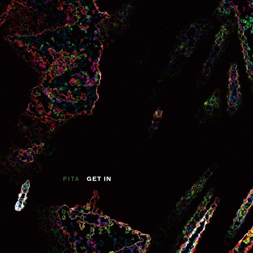 Pita 'Mfbk (excerpt)' (EMEGO 218)