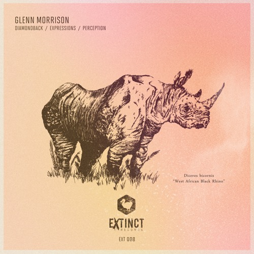 Glenn Morrison - Expressions
