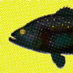 Deep Water Bass Fish