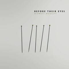 Before Their Eyes - We Destroyed All The Evidence