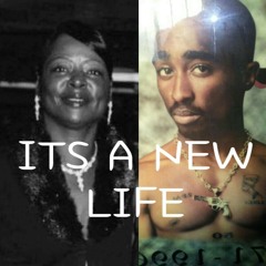 D-WILL/JCG/RAW ENT$ "FOR MY MISSED 1$"