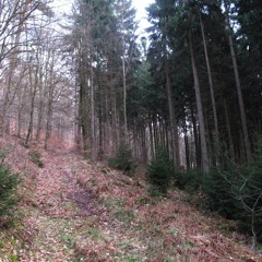 B96 (Silbermond Cover)