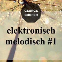 elektronisch melodisch