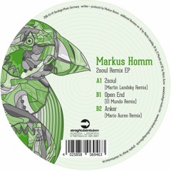 Markus Homm "2soul" (Martin Landsky Remix) PREVIEW