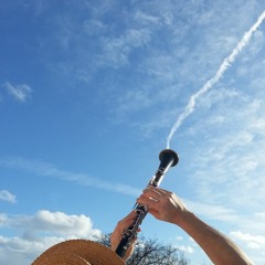 Der Heyser Bulgar (Arrangement by D.Krakauer for a clarinet choir, mix by Michel Martineau)