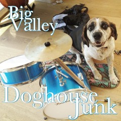 Doghouse Junk