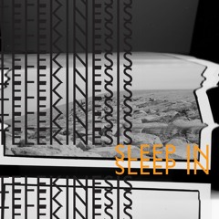 Telekinesis "Sleep In (Flawrs. Remix)"