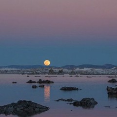 Paul Brill - Bad Moon Rising