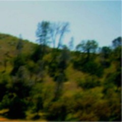 Go Your Way And I'll Go Mine