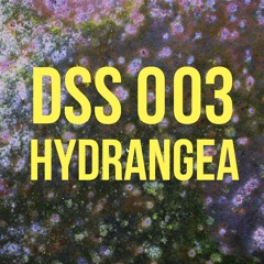 DSS 003 | Hydrangea