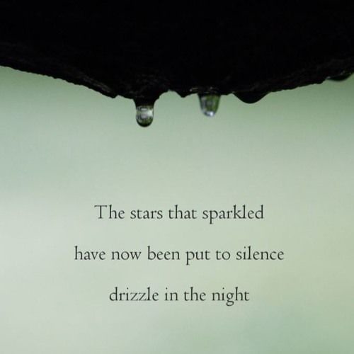 Naviarhaiku - The Stars That Sparkled