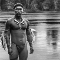 Films: 'Embrace of the Serpent' from Colombia & Notable Releases from Brazil (Lp2262016)