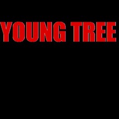 young tree- 5 for me.mp3