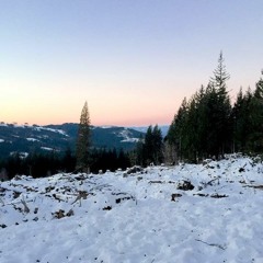 Light Of The Moon (No Vocals)Rough Mix